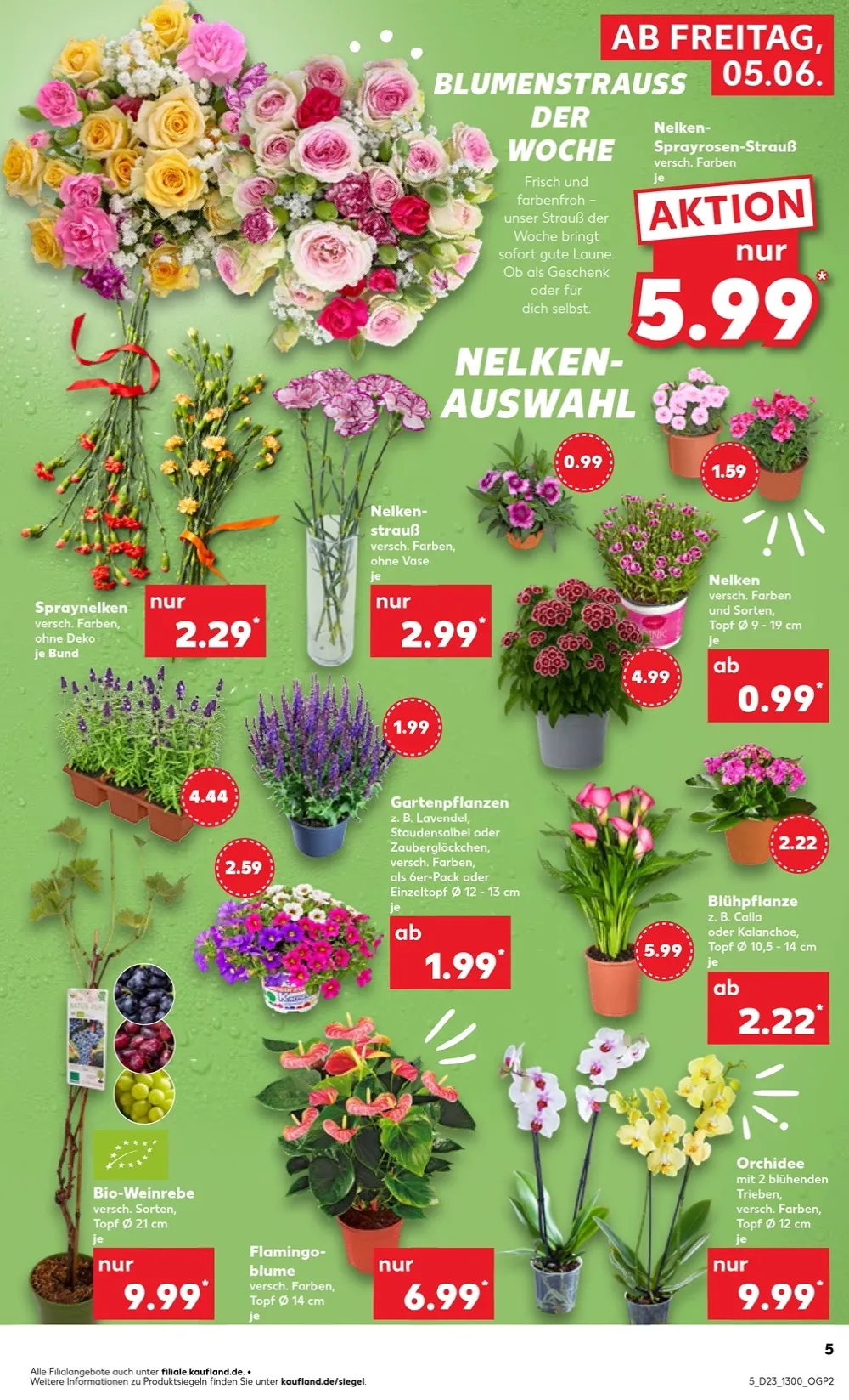 Kaufland Prospekt 18.06.2026 Bis 24.06.2026 - Bild 3 Ab 05.06