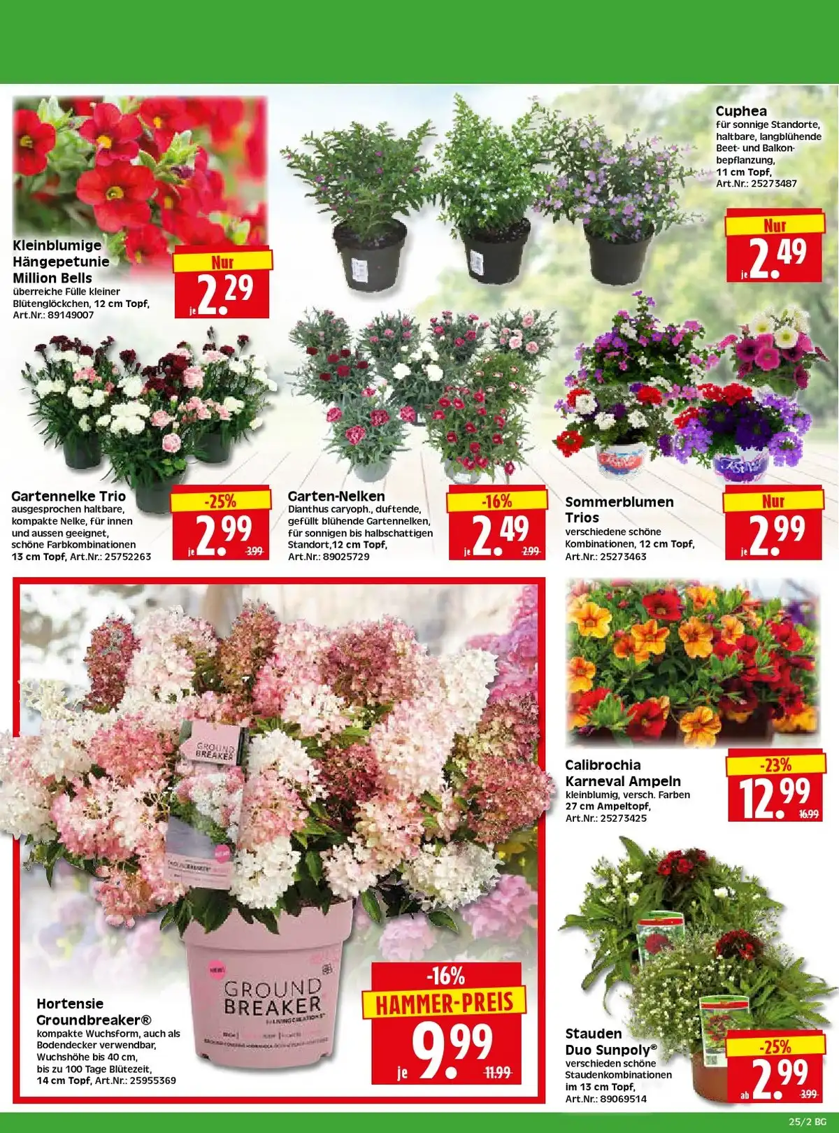Herkules Prospekt ab 15.06.2026 diese & nächste woche - Bild 2 Baumarkt ab 15.06
