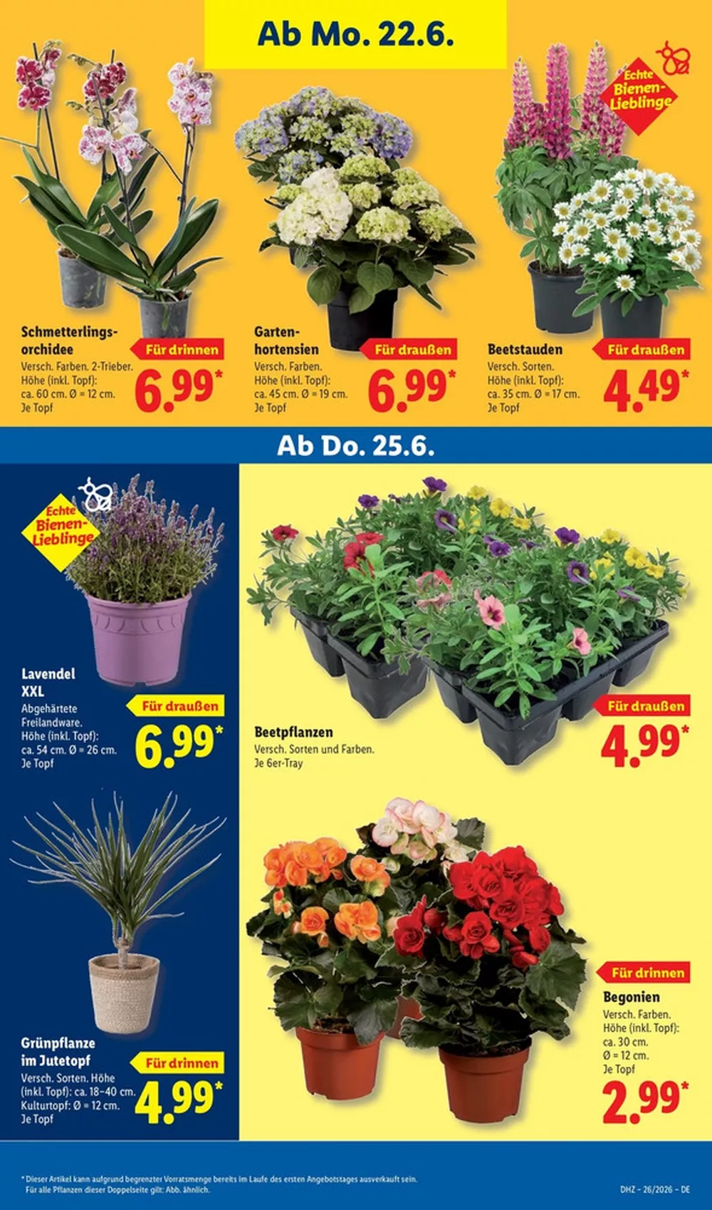 Lidl Prospekt ab 22.06 & ab 29.06.2026 nächste woche - Bild 1 ab 22.06.2026