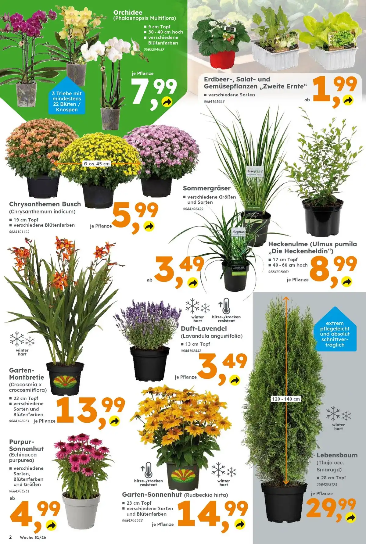 Globus Baumarkt Prospekt ab 27.07 & ab 03.08.2026 nächste woche - Bild 2 ab 27.07.2026