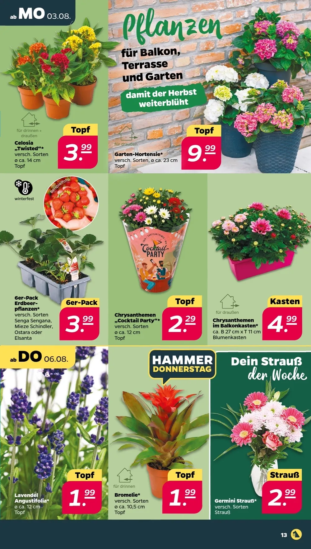 Netto (Scottie) Prospekt ab 03.08.2026 nächste woche - Bild 1 ab 03.08.2026