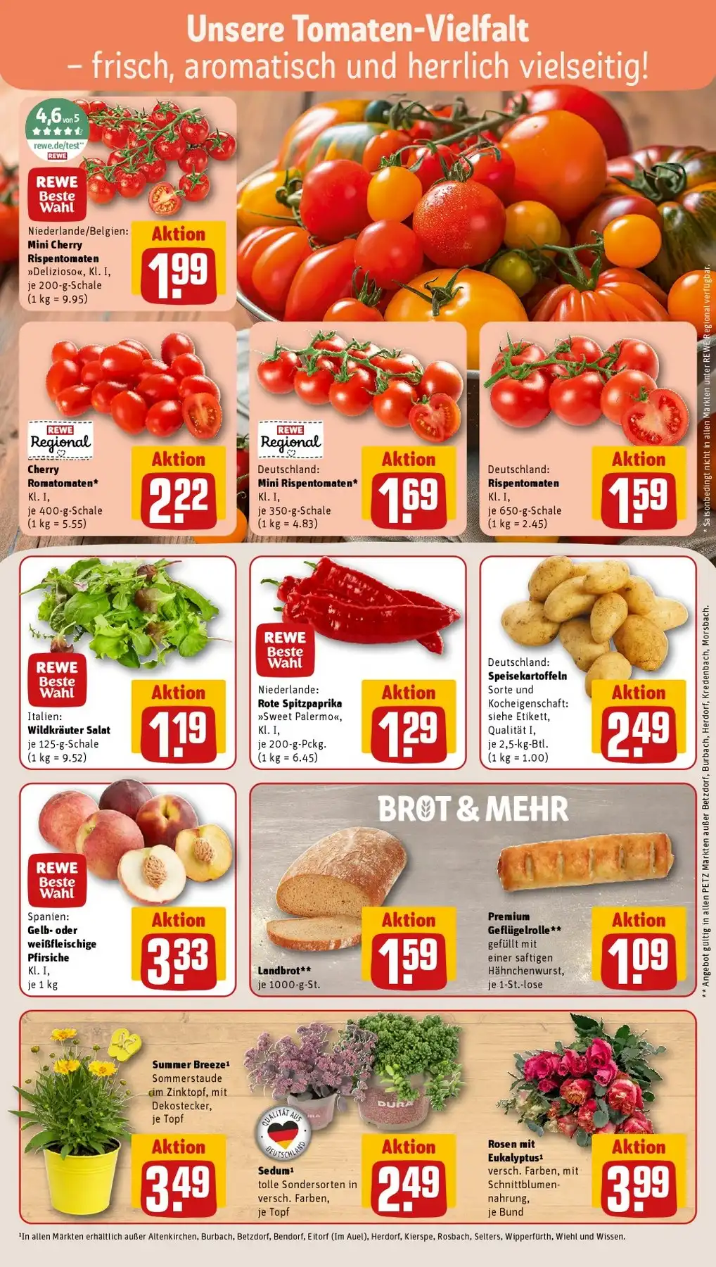 Rewe Prospekt ab 27.07.2026 diese & nächste woche - Bild 1 Petz ab 13.07.2026