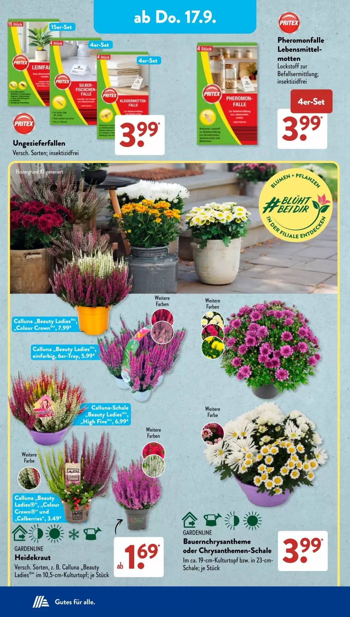 Aldi Süd Prospekt ab 14.09.2026 nächste woche - Bild 2 ab 14.09.2026