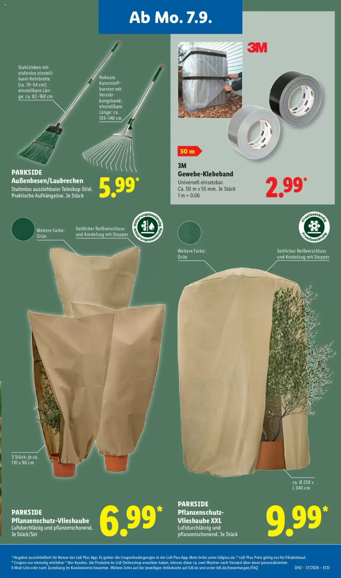 LIDL Prospekt ab 07.09.2026 bis 12.09.2026 - Seite 13