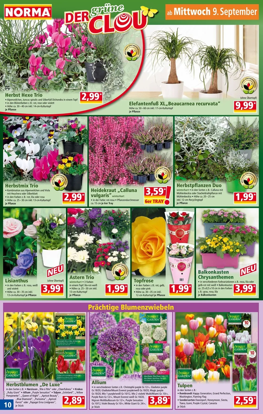 Norma Prospekt ab 28.09.2026 nächste woche - Bild 2 ab 28.09.2026
