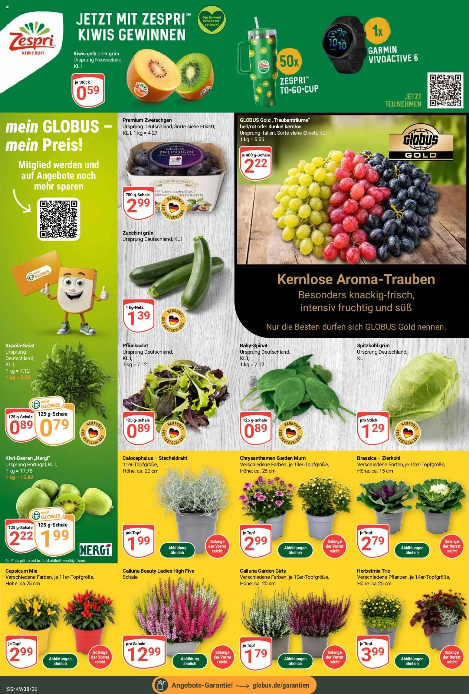 Globus Prospekt ab 14.09.2026 nächste woche - Bild 2 ab 14.09.2026