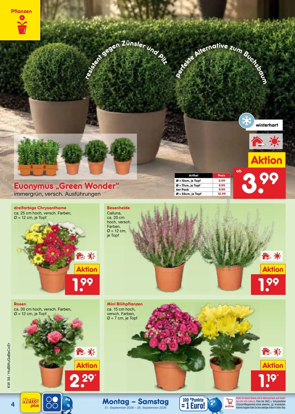 Netto Prospekt ab 21.09.2026 nächste woche - Bild 2 ab 21.09.2026