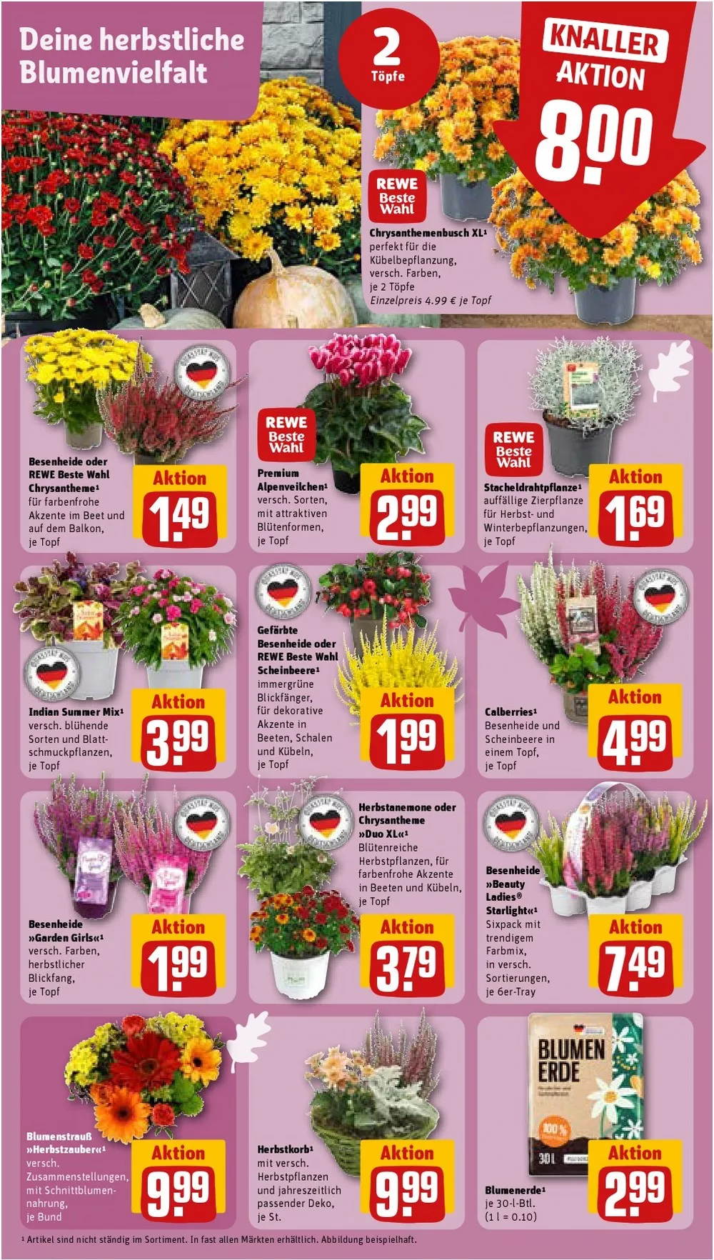 Rewe Prospekt ab 14.09.2026 diese & nächste woche - Bild 3 ab 14.09.2026